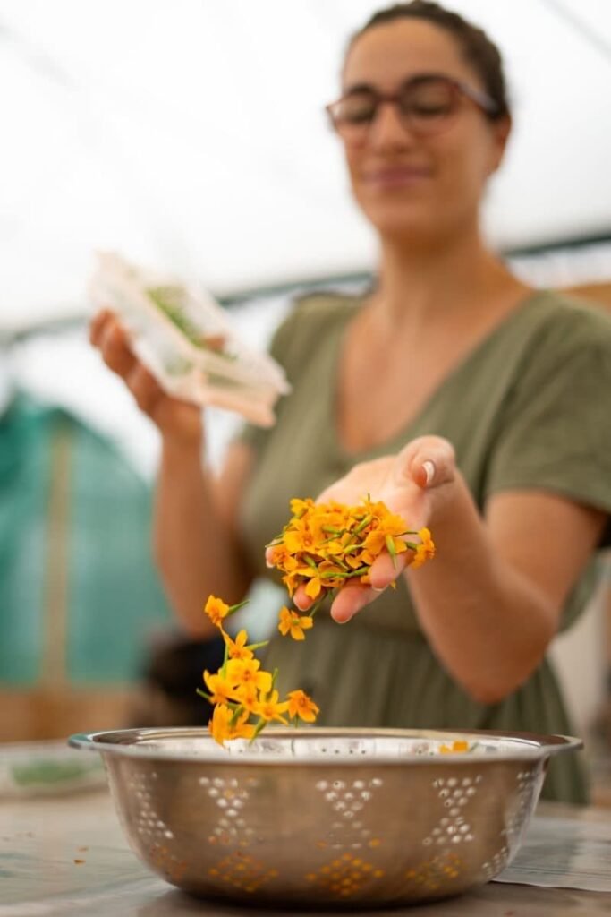 Marion Sarlé s'occupe de ses fleurs comestibles.