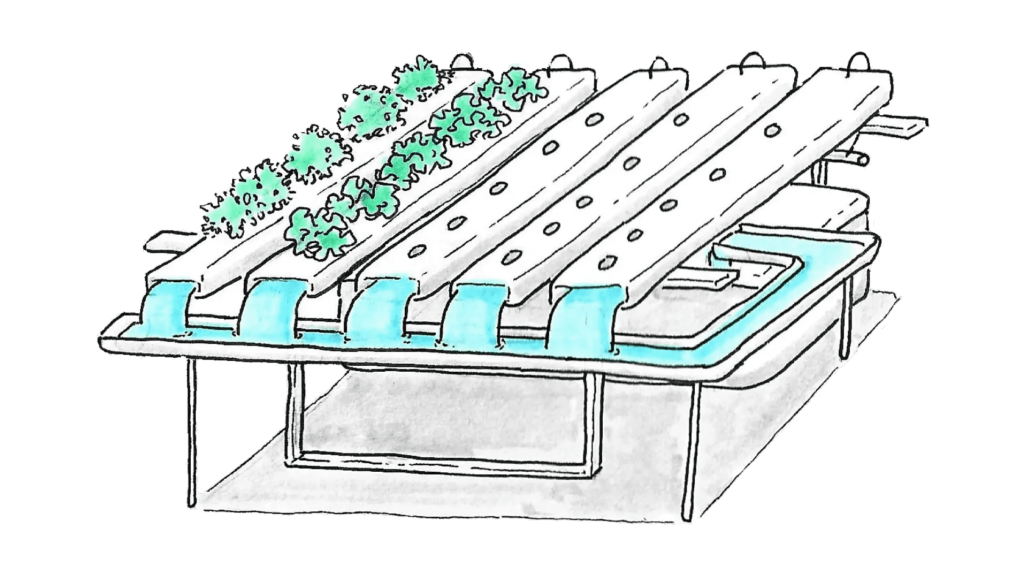 bac hydroponique dessin