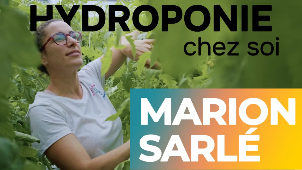 marion sarlé regarde ses plans de tomates