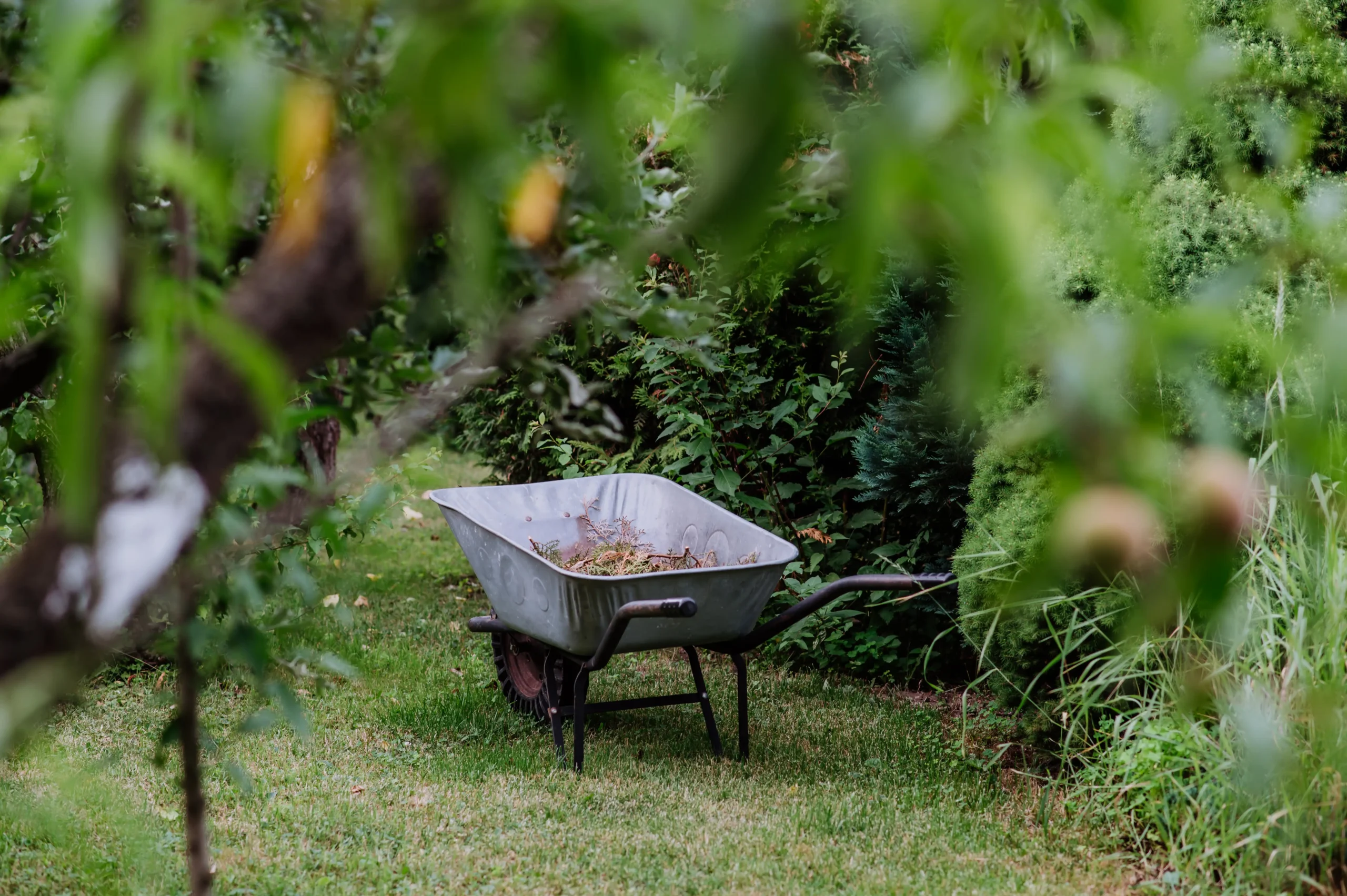 brouette pleine de compost