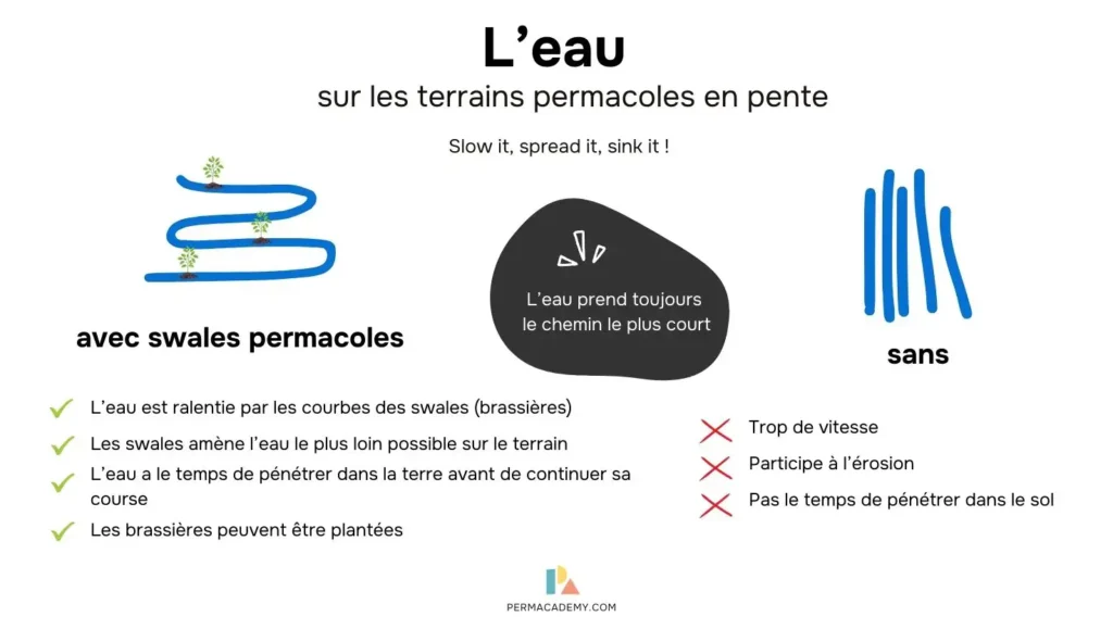 schema explicatif des swales