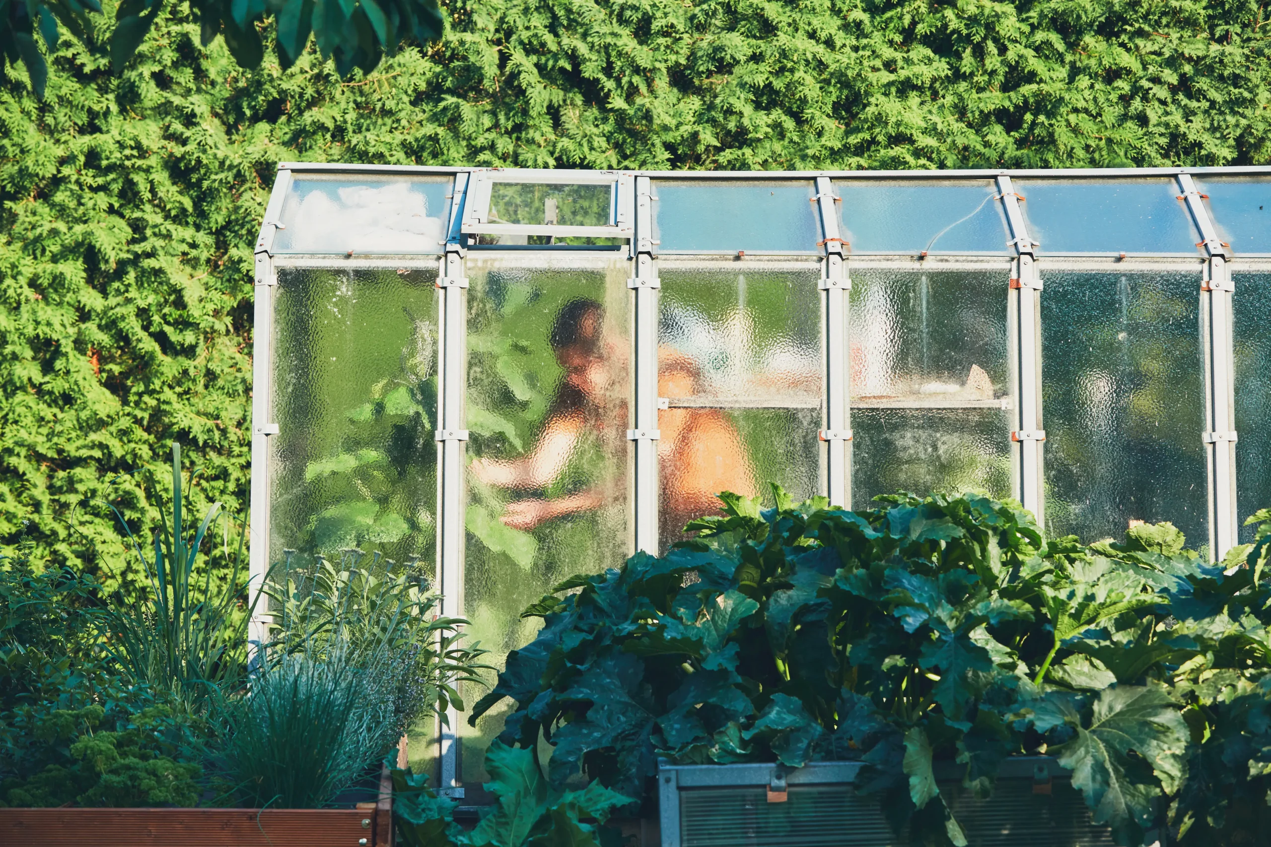 jardiniers dans une serre vus de l'exterieur