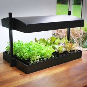systeme hydroponique compact